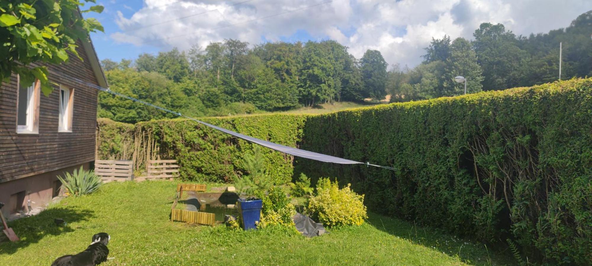 Modernes Rhombushaus mit Garten&Teich nähe Wald Balve Exterior foto